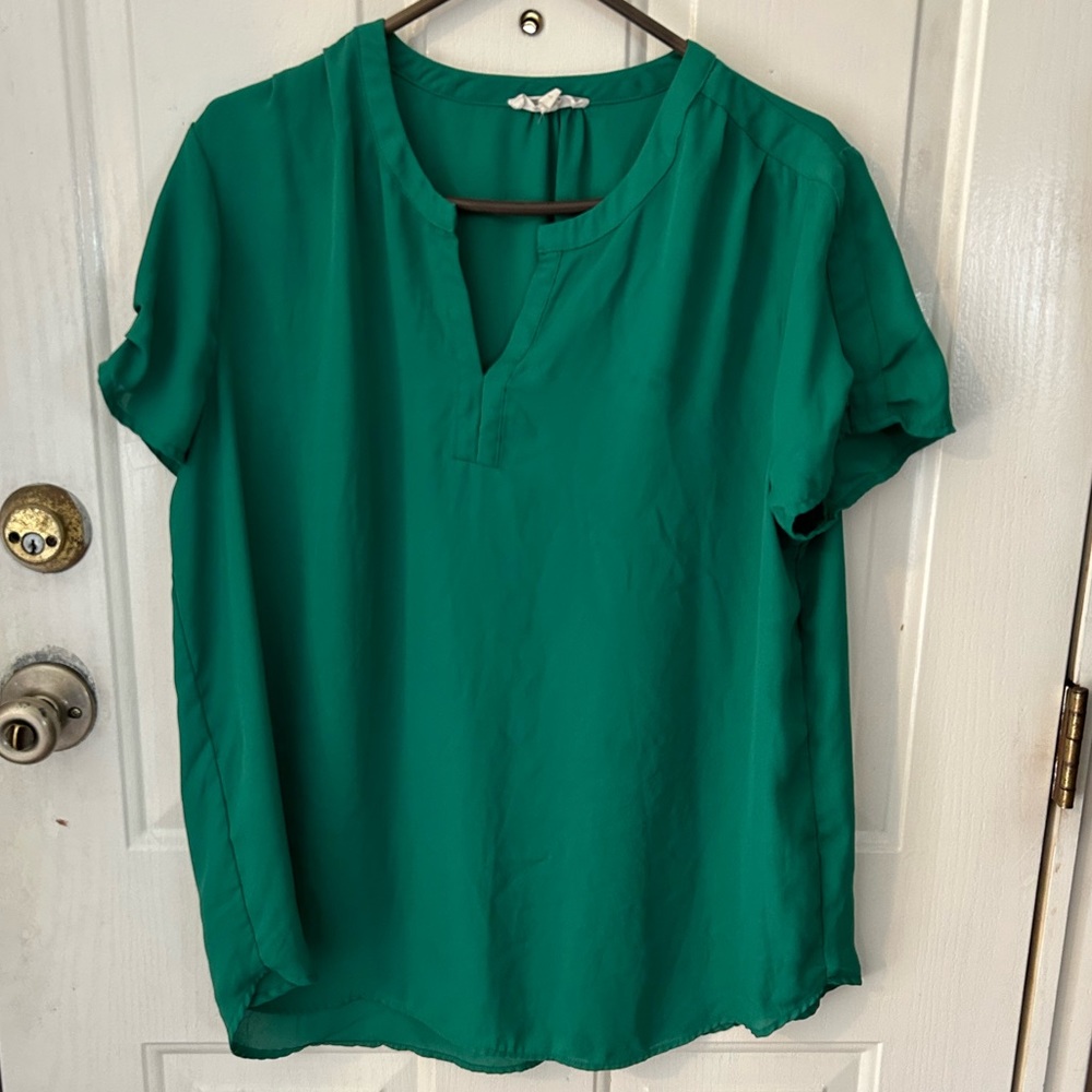 Pleione sheer blouse
